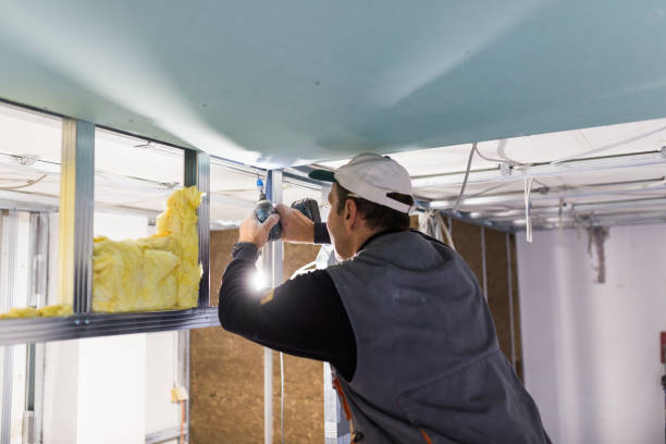 Best Insulation Installation Services in Chapel Hill, NC